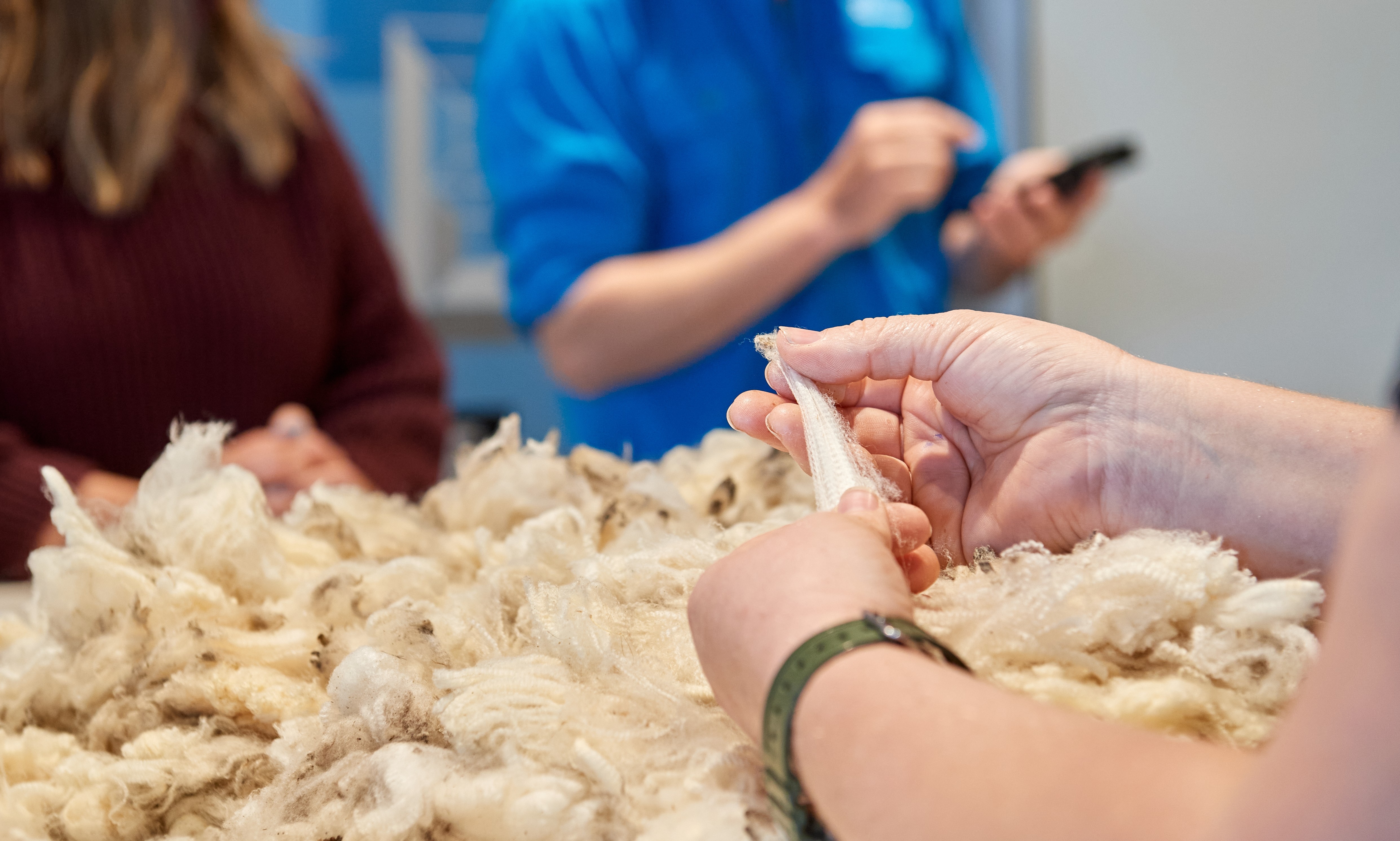 AWEX_WoolClassing_PageImage1