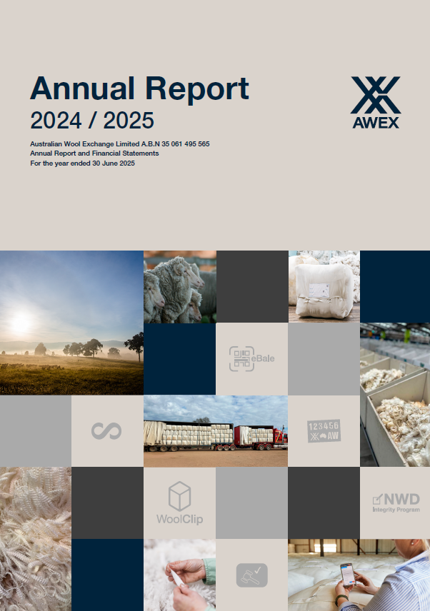 AnnualReport_2025